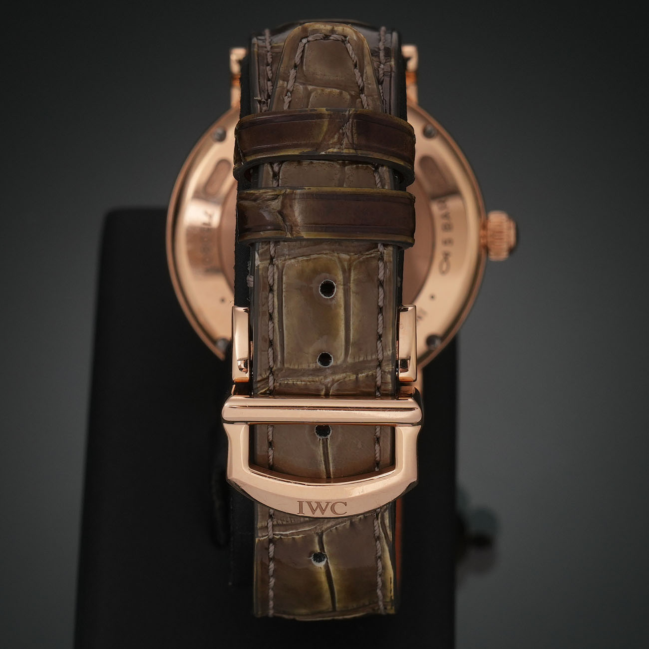 IWV 포르토피노 데이 & 나이트 상세 이미지